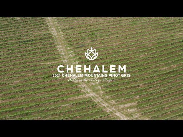 2021 Chehalem Mountains Pinot Gris