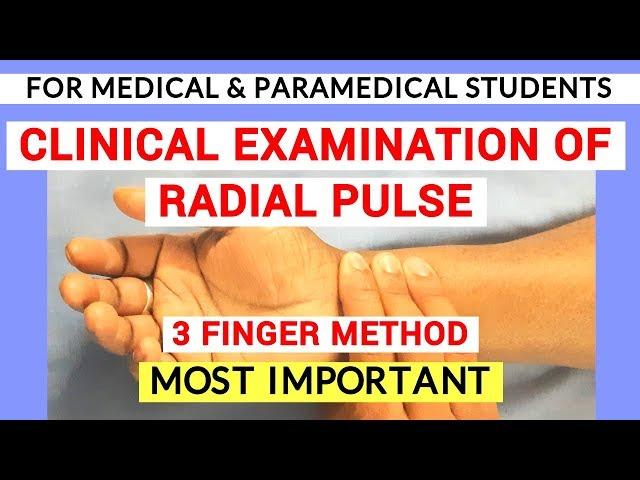 RADIAL PULSE EXAMINATION | CLINICAL LAB | PHYSIOLOGY PRACTICALS