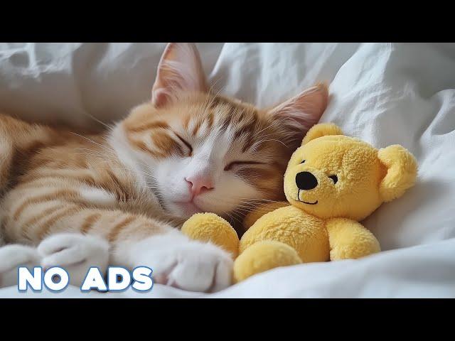 12 Hours Of Cat Healing Music Soothing Sounds for Deep Relaxation And Sleep With Soothing Piano #35