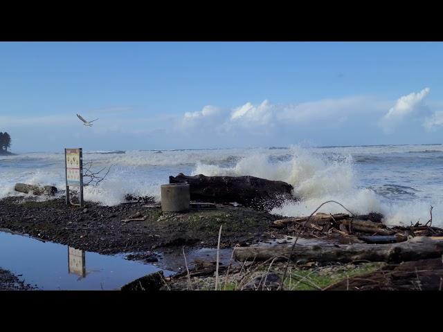 Seaside Cove 1/3/22 at high tide.