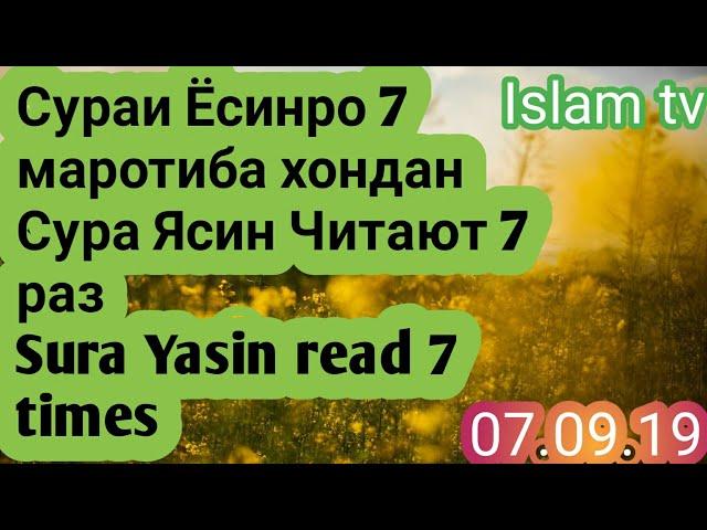 Сура Ясин Читают 7 раз Сураи Ёсин Sura Yasin read 7 times