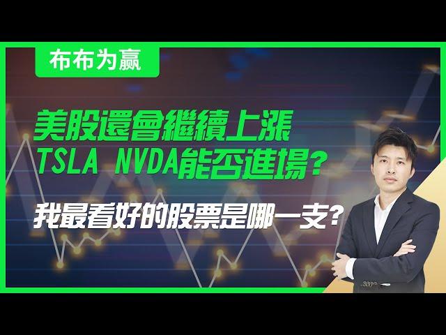 【布布为赢】美股还会继续上涨，TSLA NVDA能否进场？我最看好的股票是哪一支？