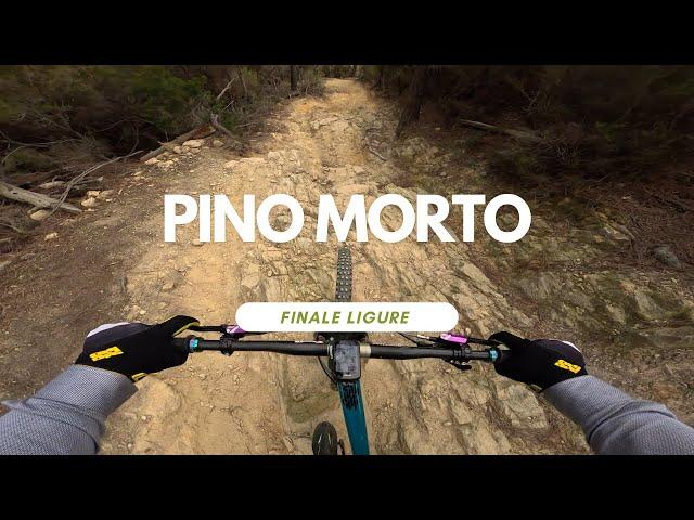 Pino Morto Trail Level Red 2024 Finale Ligure Italy  Full run POV RAW