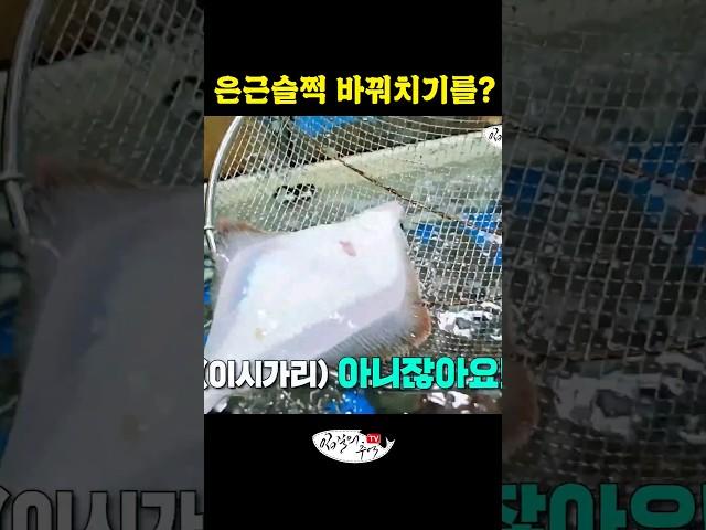 전문가한테 사기치려다 딱 걸림
