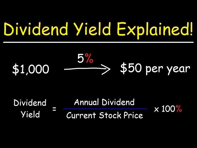 The Dividend Yield - Basic Overview