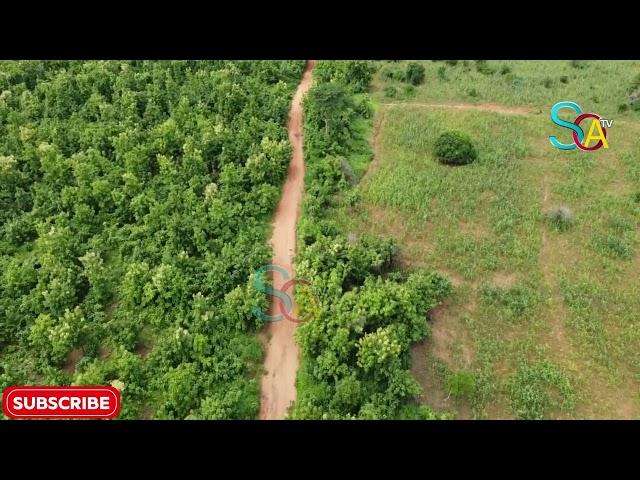 RICH VEGETATION OF GHANA