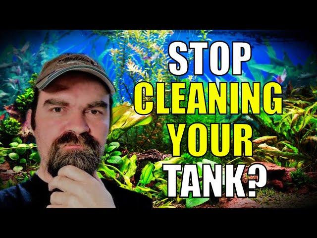 Shrimp Tank Maintenance: Understanding Water Changes, Habitat Requirements, and Shrimp Health