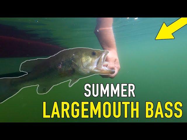 Fishing Bladed Jigs in Michigan for Largemouth Bass - Late Summer Tips