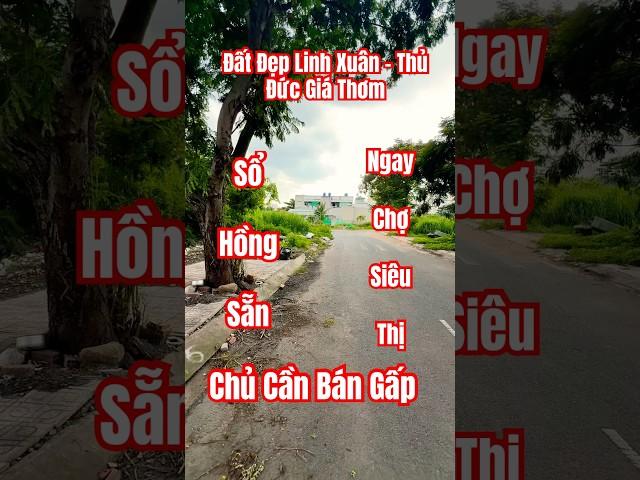 Đất Tái Định Cư Linh Xuân Thủ Đức Hiếm #thành_luân_bđs #batdongsan #bán_đất_thủ_đức