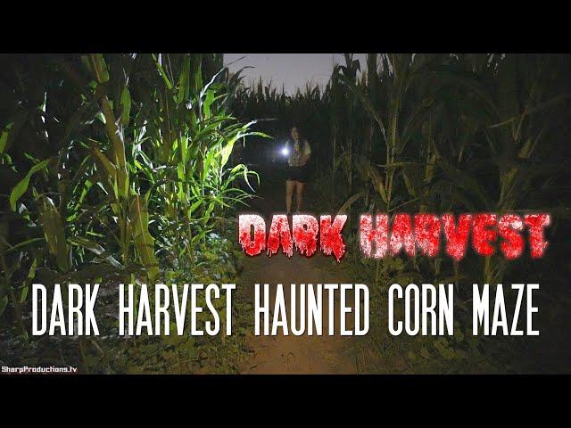 Dark Harvest Haunted Corn Maze at Frosty's Pumpkin Patch - Chino, CA