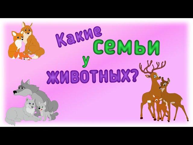 Дикие животные и их "семьи".