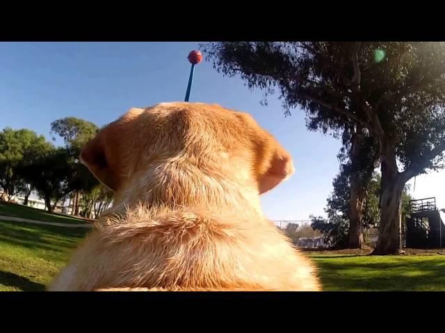 GoPro Fun with My Besty