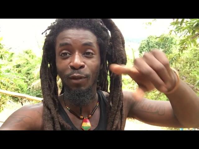 Zayloc23 in Jamaica!!!(Update)