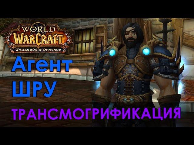 Агент ШРУ, трансмогрификация Wow (Разбойник, Монах, Друид)