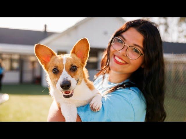 Pet Paradise - Complete Pet Health Care