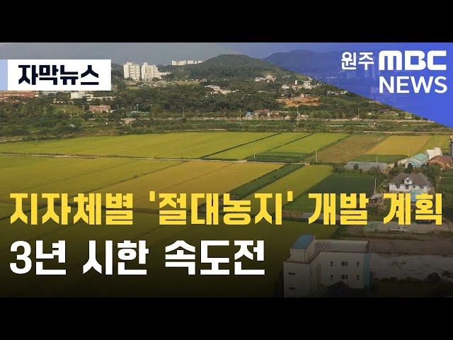 [자막뉴스] 지자체별 '절대농지' 개발 계획.. 3년 시한 속도전 (2024. 5. 30 원주MBC)