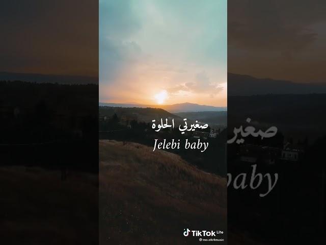 ترجمة اغنية : jalebi baby مالي دخل 