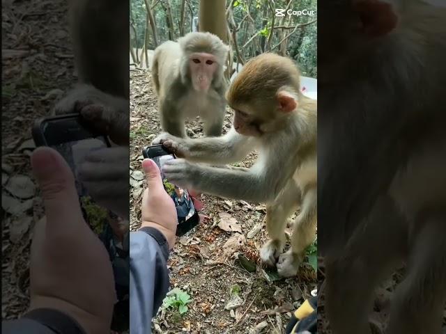 자연반장