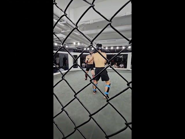 Z-AMATEUR MMA 대회 오인탁 선수 [풀영상]