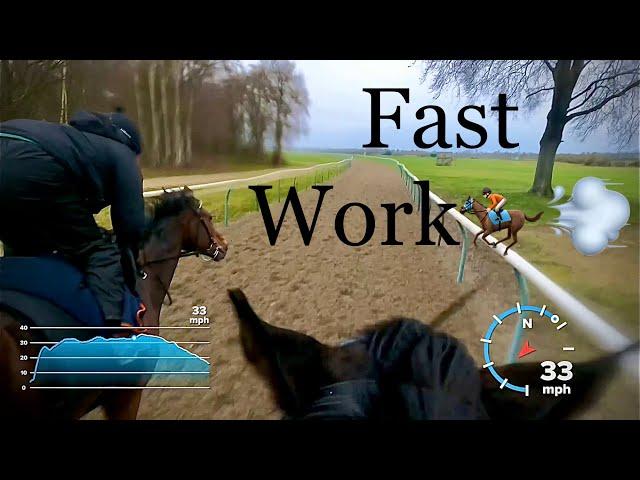 Training Racehorses - Fast work!