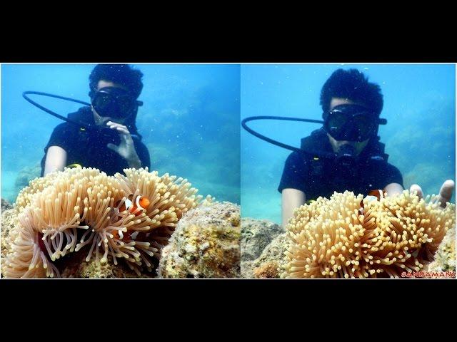 Scuba at Andamans - Siddhartha Chabukswar