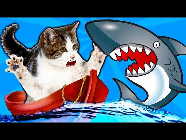 #2 KITTY FISHER cat simulator fishing video about a small kitten like cartoon game from fgtv