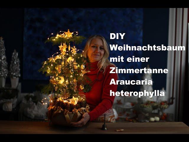 #diezürcherin #diy Weihnachtsbaum mit Zimmertanne #deutsch #floristik  #floraldesign