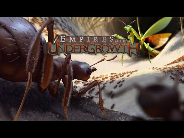 Midweek Stream - Empires of the Undergrowth