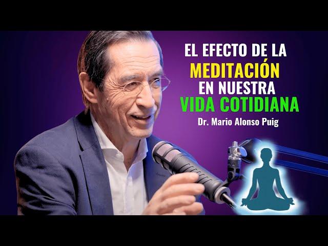 El Poder Oculto de la Meditación | Dr. Mario Alonso Puig | Enseñanzas