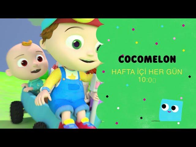 CARTOONITO KUŞAĞI COCOMELON | HAFTA İÇİ HER GÜN 10.00 | Cartoon Network Türkiye