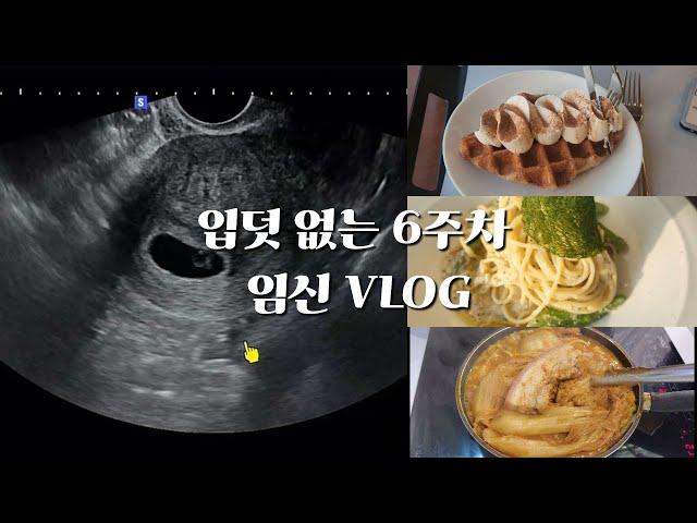 6주차 임신 브이로그| 임신초기 피비침 | 아기 심장소리 | 임산부어플 베이비빌리어플추천  | 입덧없는 임산부