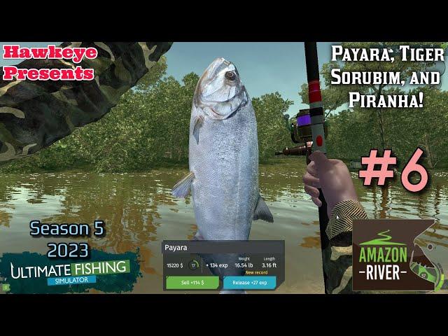 Ultimate Fishing Simulator S5 #6 - Amazon River: Payara, Tiger Sorubim, and Piranha!