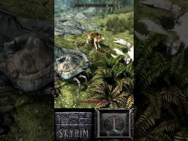 The many deaths of Skyrim #299