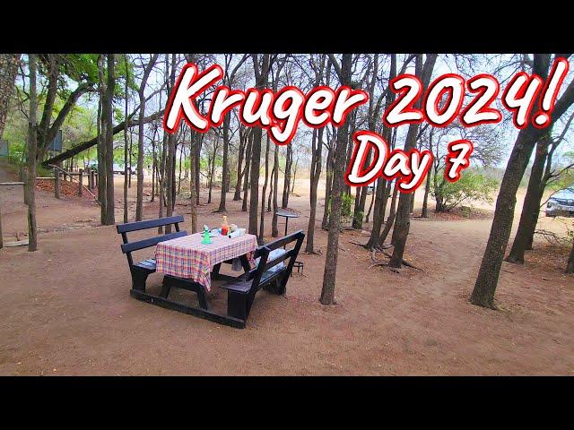 Day 7 – Kruger National Park! S1 – Ep 547