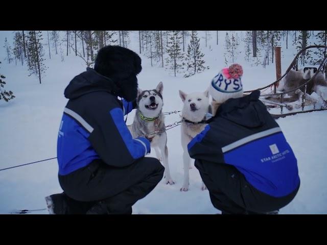 Authentic Siberian Husky experience