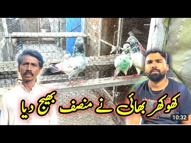 tournament main khokhar bhai ki tarf se munsif gaye || Pola G Pigeon Club