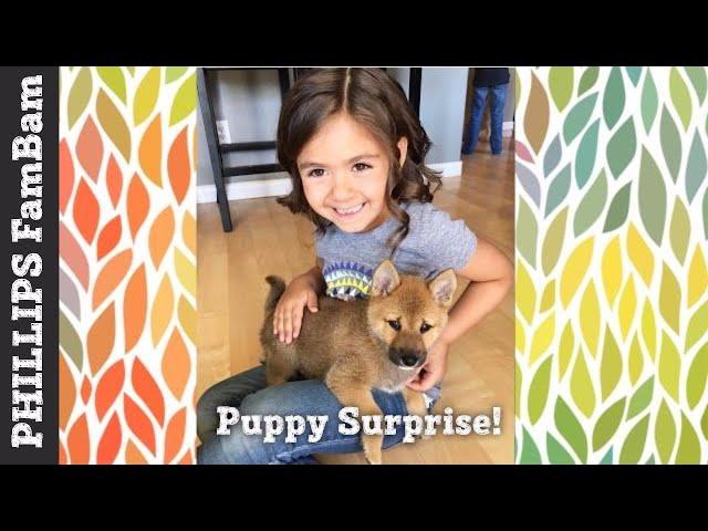 PUPPY SURPRISE | Bringing Home her Surprise Puppy on her Birthday | PHILLIPS FamBam Vlogs