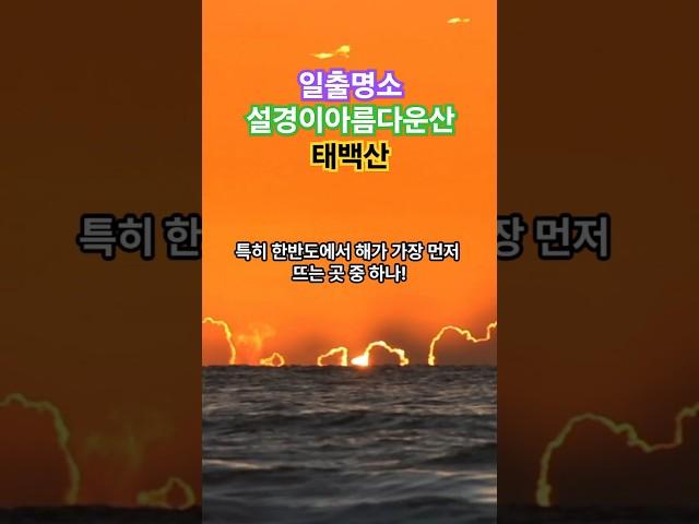 일출 명소이자 설경이 아름다운 산! 태백산/대한민국100대명산 9번째이야기 #명산 #설경 #상고대 #일출 #산악회