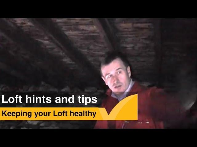 Loft tips: How to ensure your attic is healthy