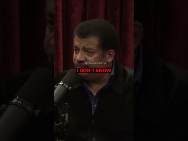 Ants Outsmarting Us? w/Neil deGrasse Tyson