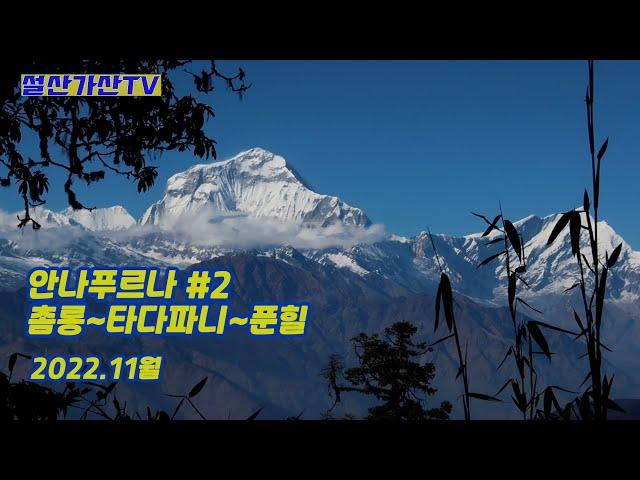 Annapurna trekking #2 / 촘롱~타다파니~푼힐