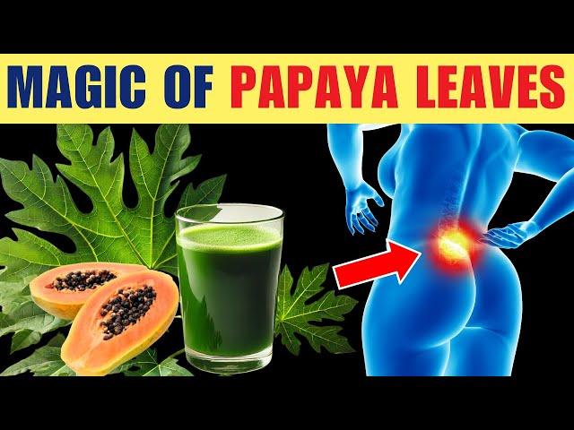 11 Incredible Health Benefits of PAPAYA LEAVES You Wish You Knew Sooner