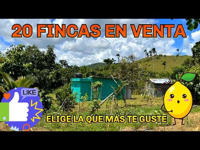 20 Fincas En Venta Bienes Raíces Pack De Propiedades En El Campo