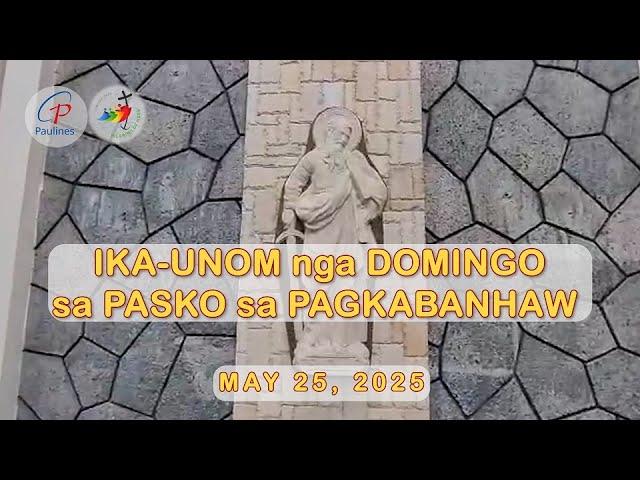 PAULINES TV HEALING MASS MAY 25 2025