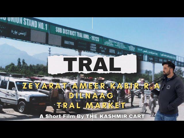 Explore The Beauty Of TRAL | The Most Beautiful Place In South Kashmir | Cinematic Video