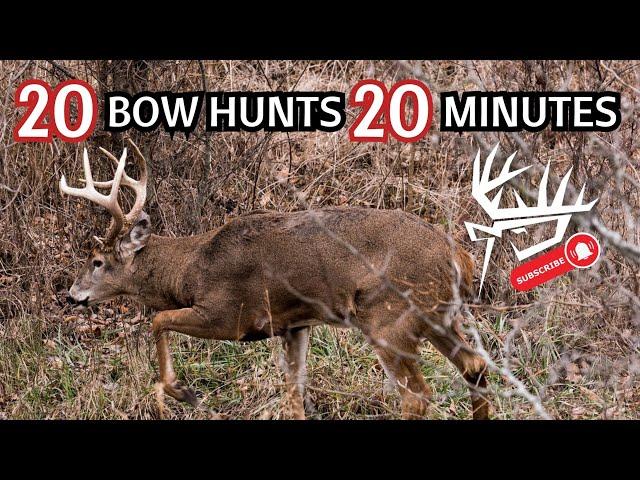 20 Bow Hunts 20 Minutes