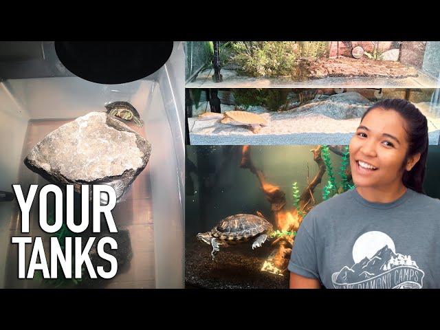 Reacting to YOUR Turtle Tanks (and Tubs) ep. 3