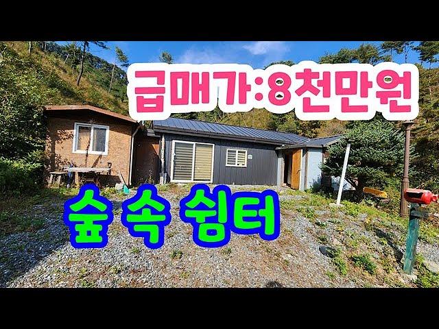 급매!! 600고지 나만에쉼공간. 8천만원 #횡성전원주택# 횡성싼토지 #횡성부동산  #강원도부동산 #강원도전원주택 #횡성급매물 #  둔내부동산