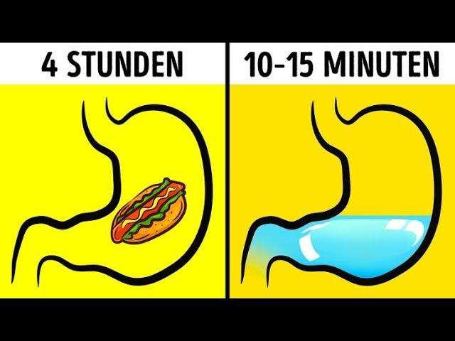 Kannst du während des Essens Wasser trinken?