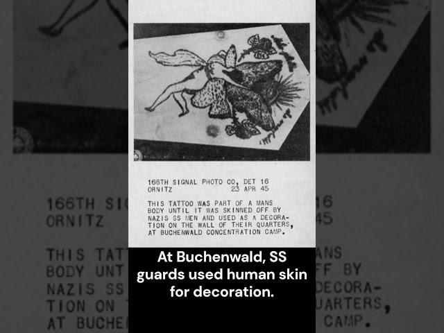 April 23, 1945 Human Skin with Tattoo – Buchenwald | Jewish History Unfolded